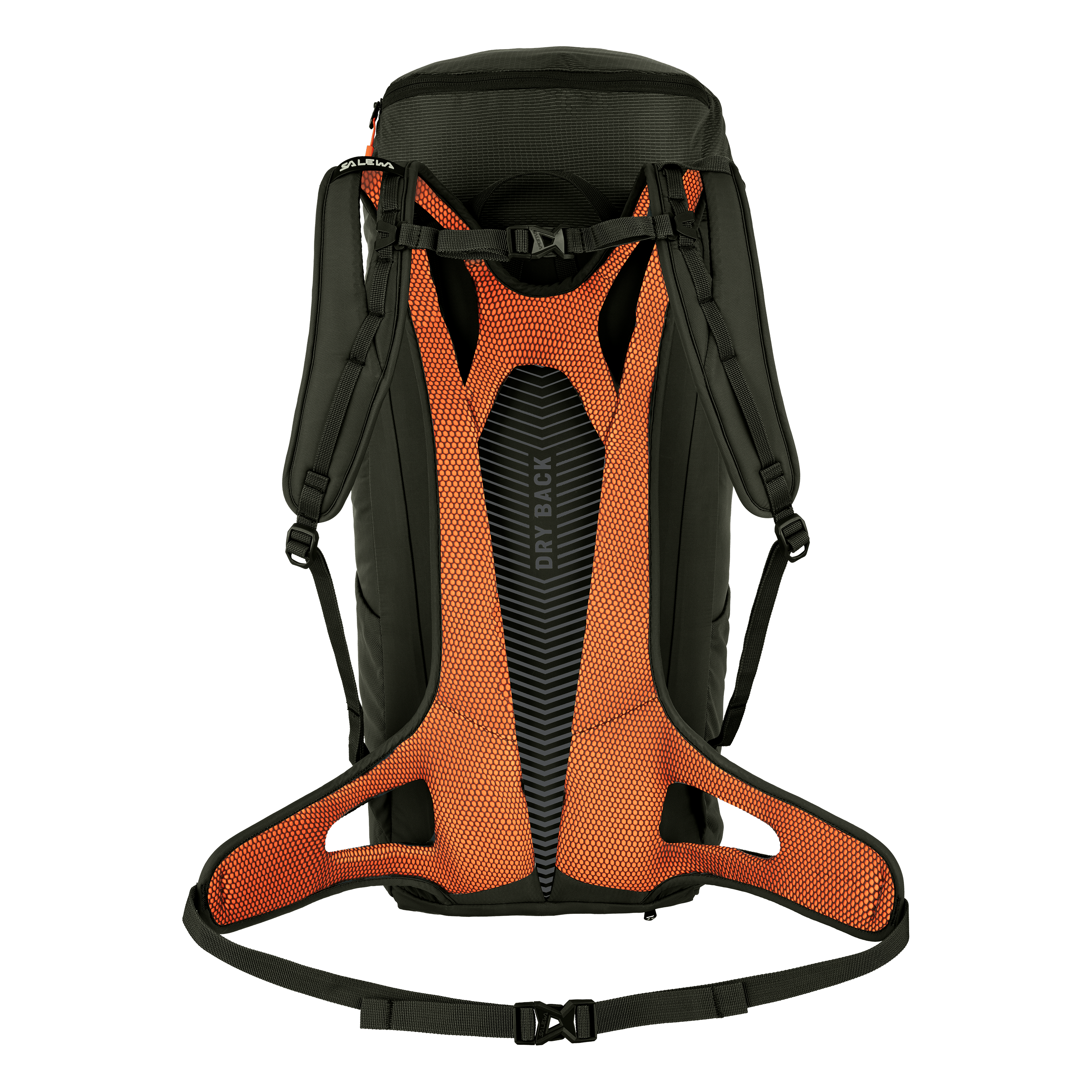 Alp Mate 26L Backpack perspective_view image