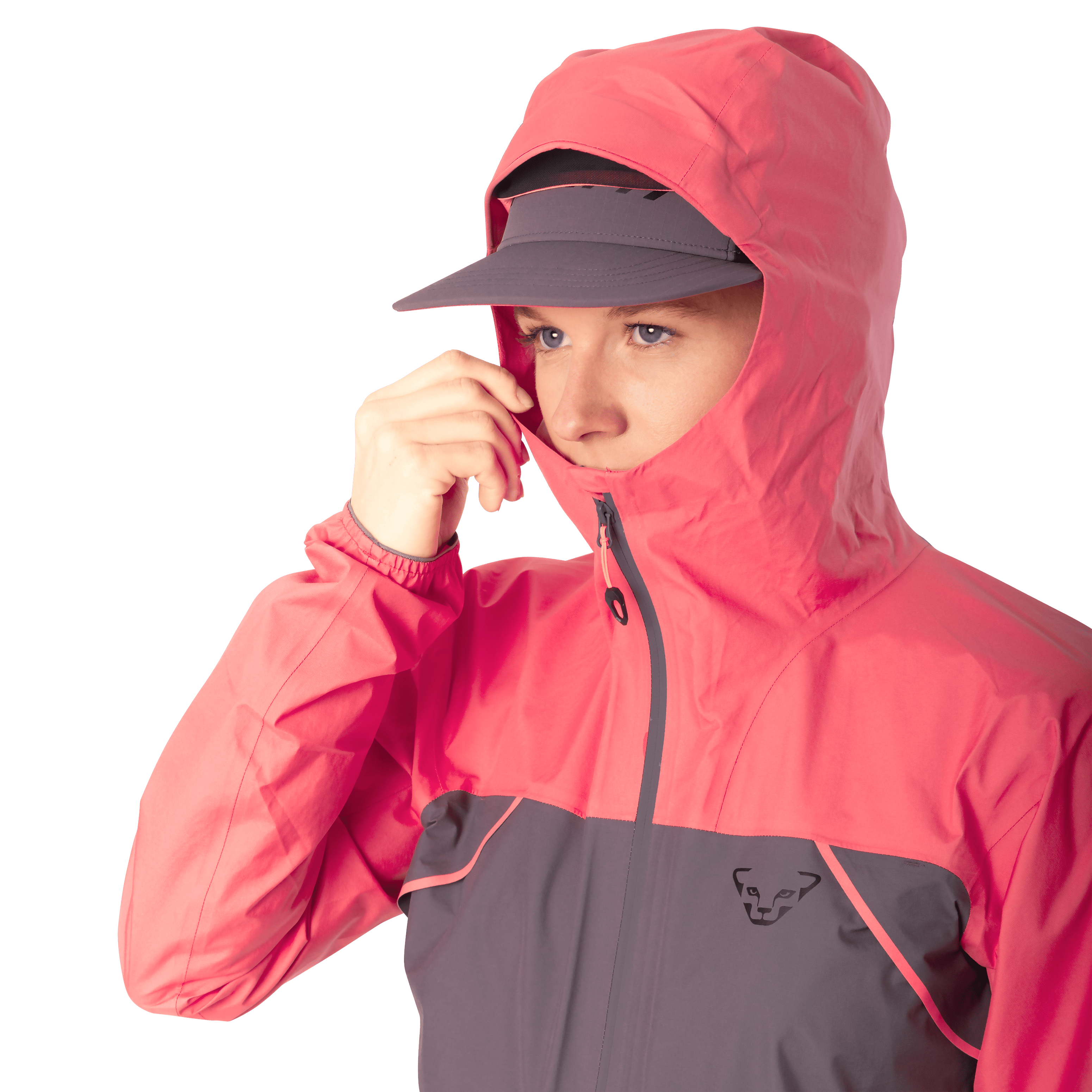 Veste Alpine 3L femme tech_detail image