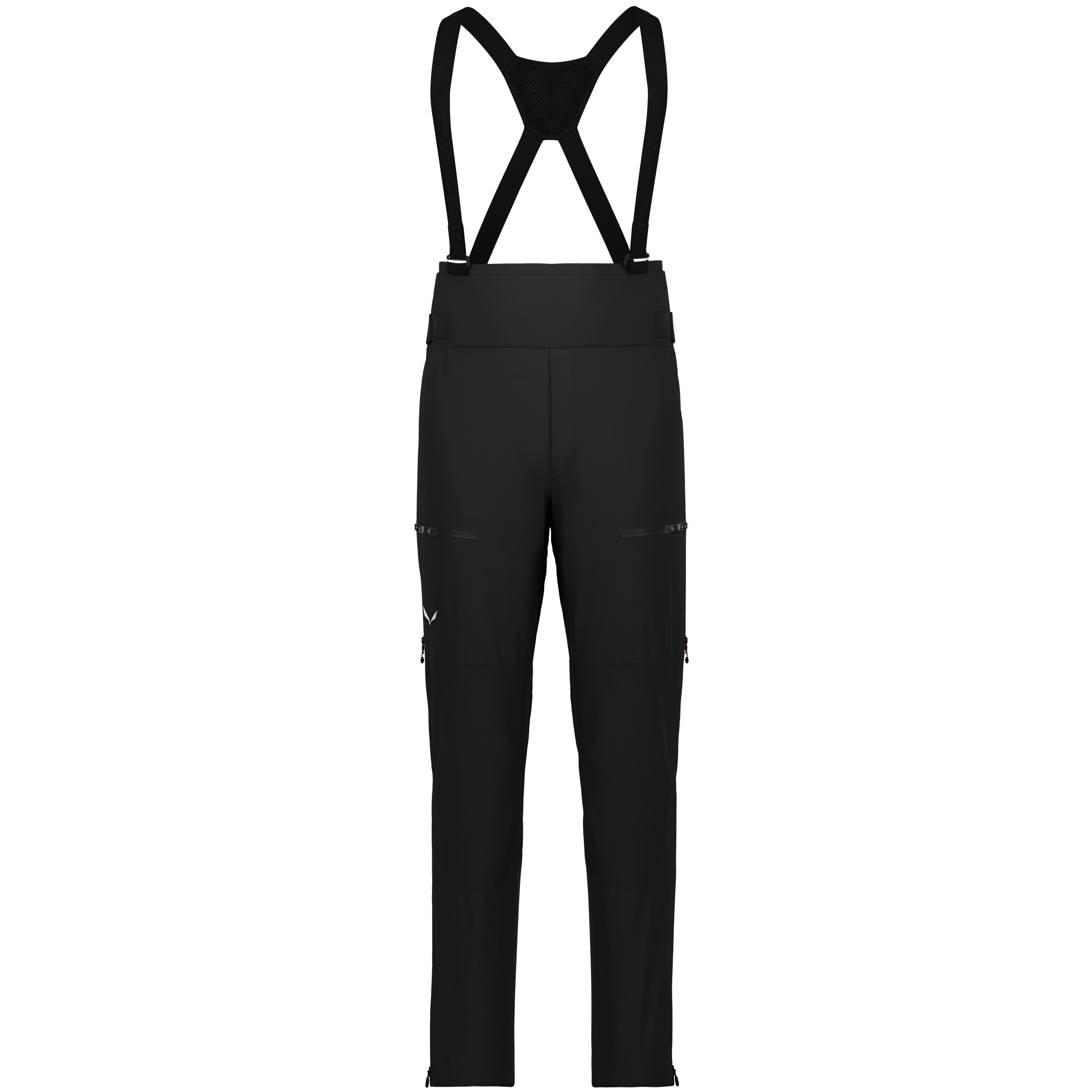Ortles Gore-Tex® Pro Pant Men | Salewa® International