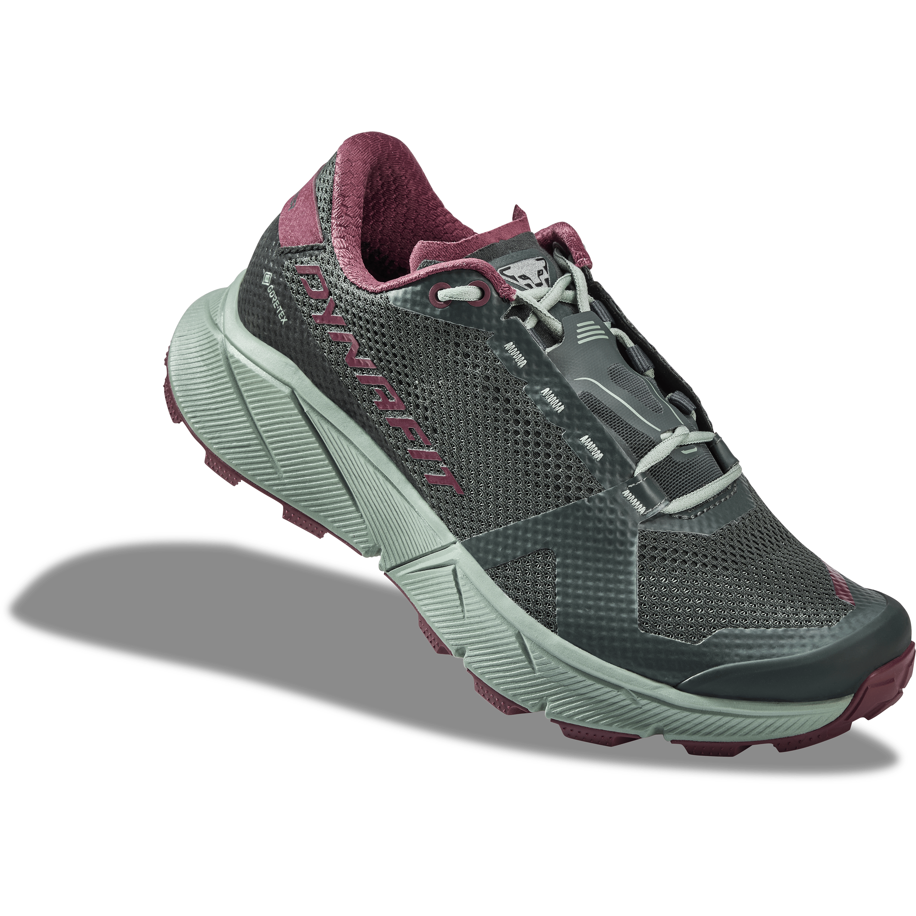 Ultra 100 GORE-TEX® scarpa running donna perspective_view image