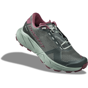 Vorschau: Ultra 100 GTX Running Shoes Women