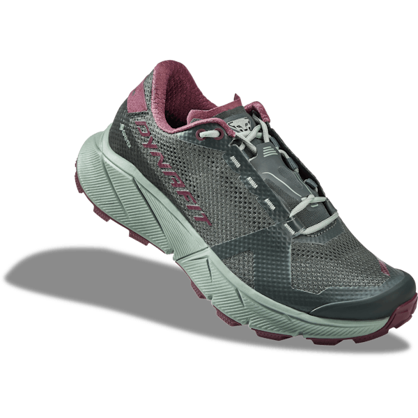 Ultra 100 GTX Running Shoes Women