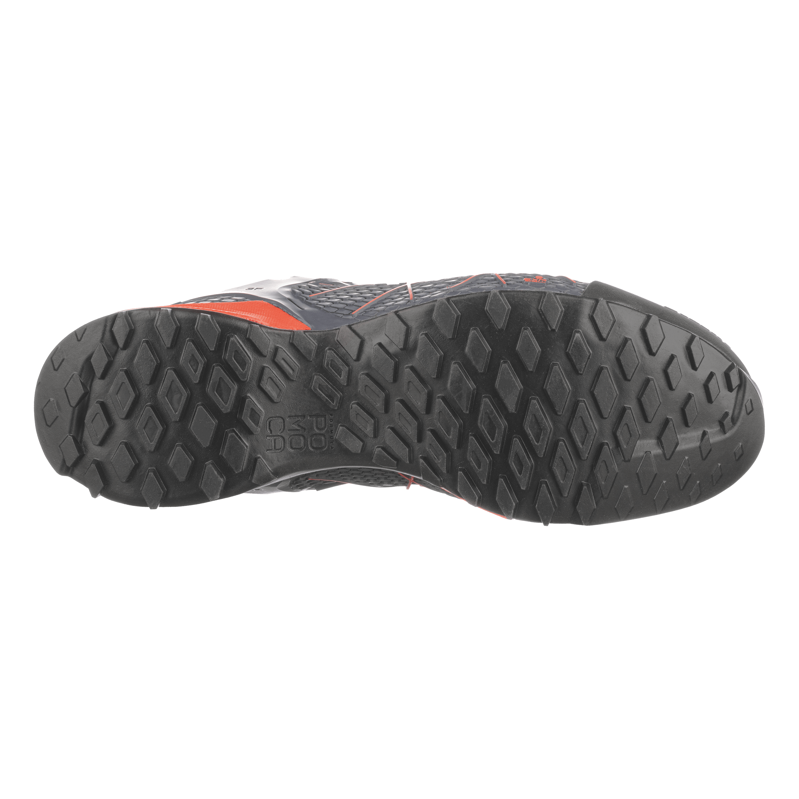 Wildfire Gore-Tex® Herren Schuhe perspective_view image