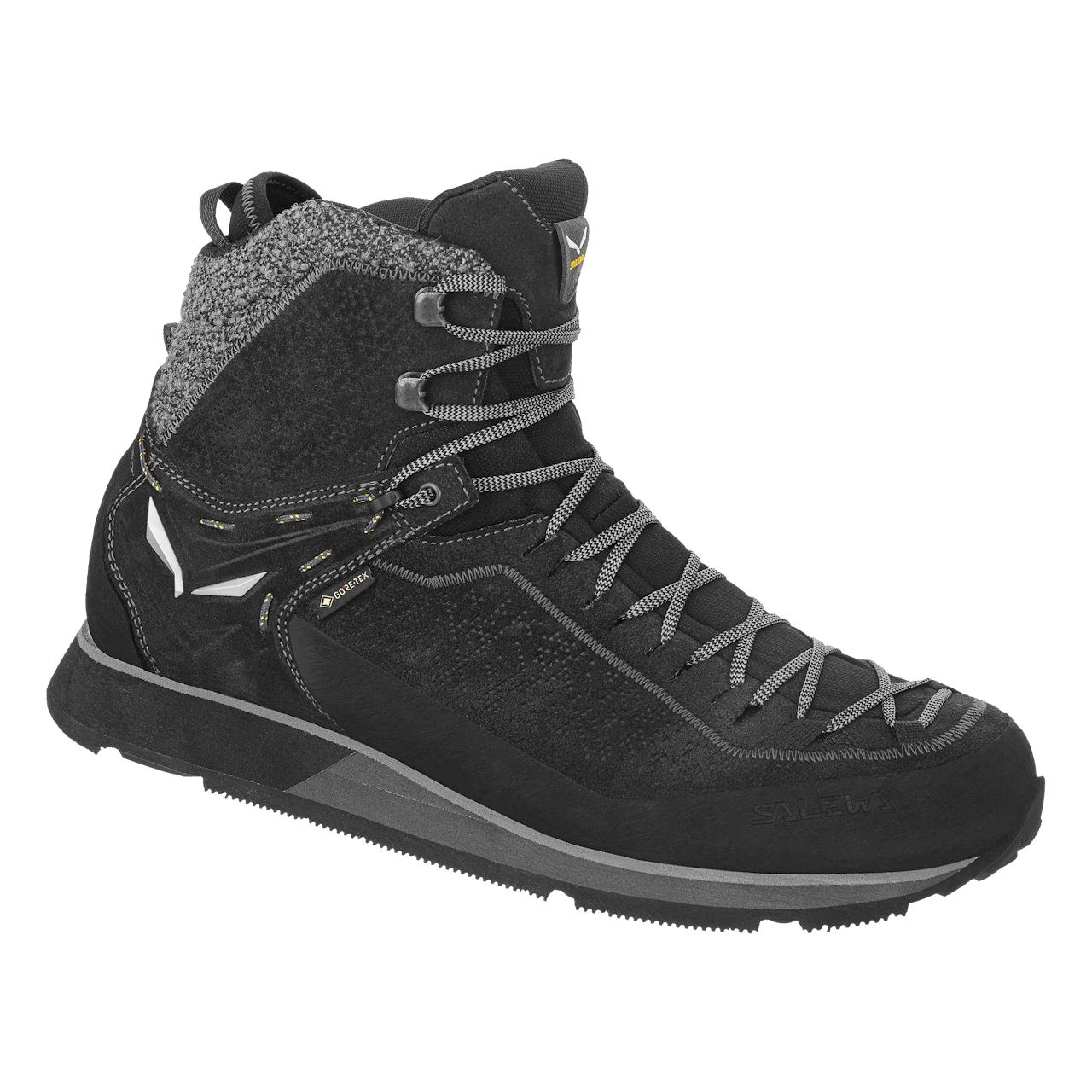 Mountain Trainer 2 Winter GORE-TEX® Men's Shoes | Salewa