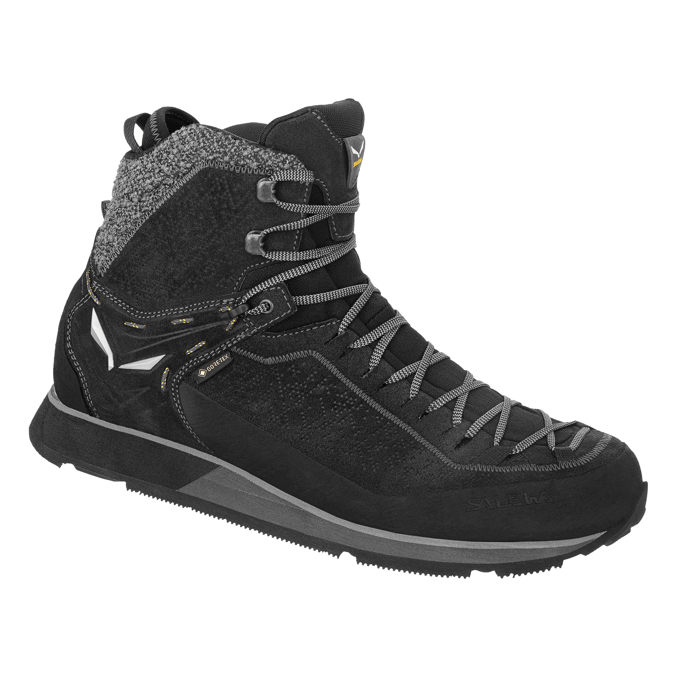 Mountain Trainer 2 Winter GORE-TEX® Herren Schuhe