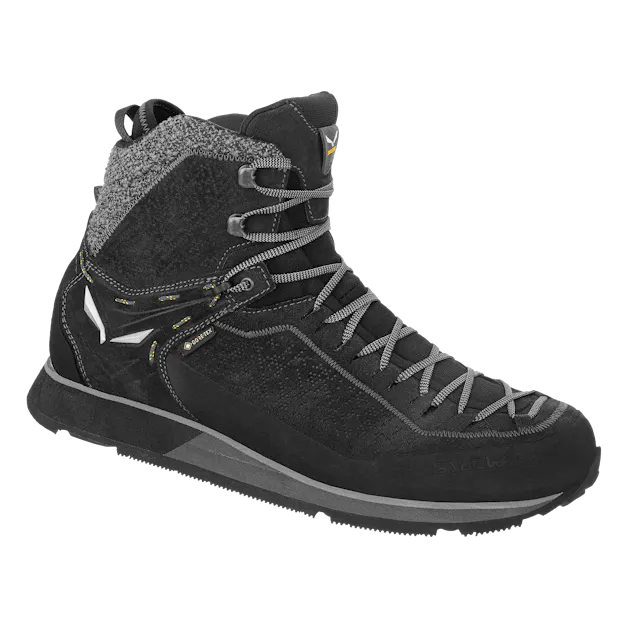 Mountain Trainer 2 Winter GORE-TEX® Herren Schuhe still image