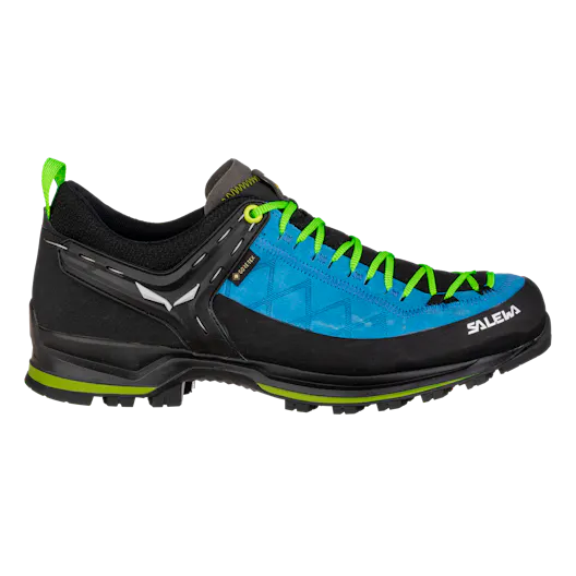 Mountain Trainer 2 GORE-TEX® Scarpe Uomo perspective_view image