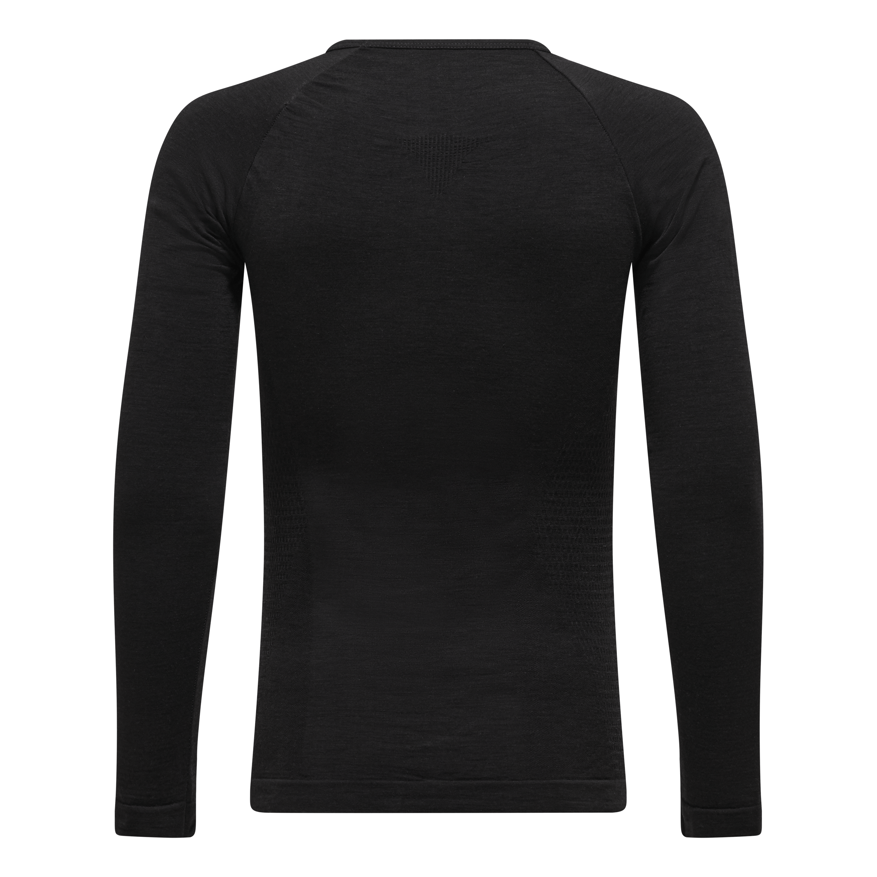 Badia Alpine Merino T-Shirt Manches Longues Homme perspective_view image