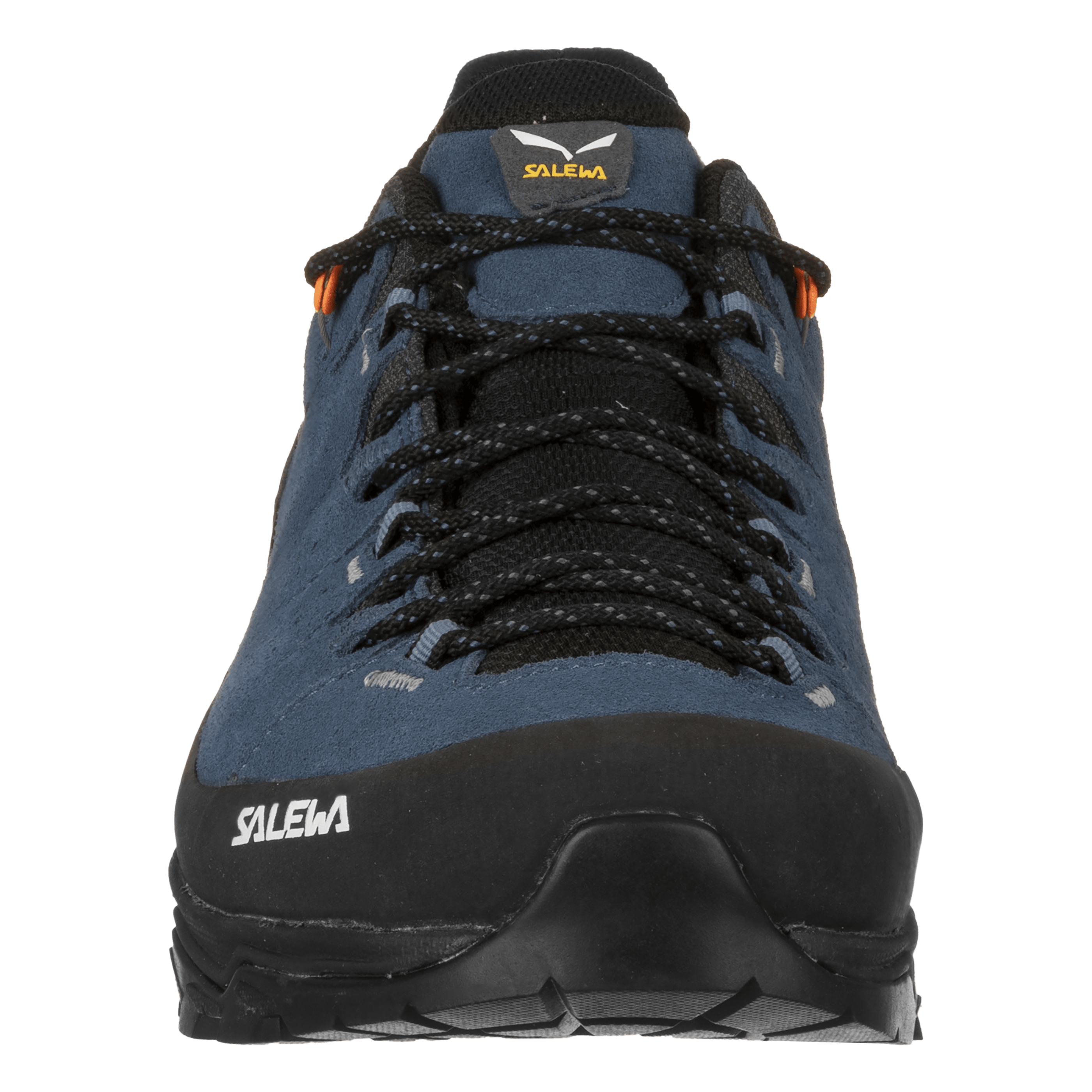 Alp Trainer 2 Schuh Herren perspective_view image