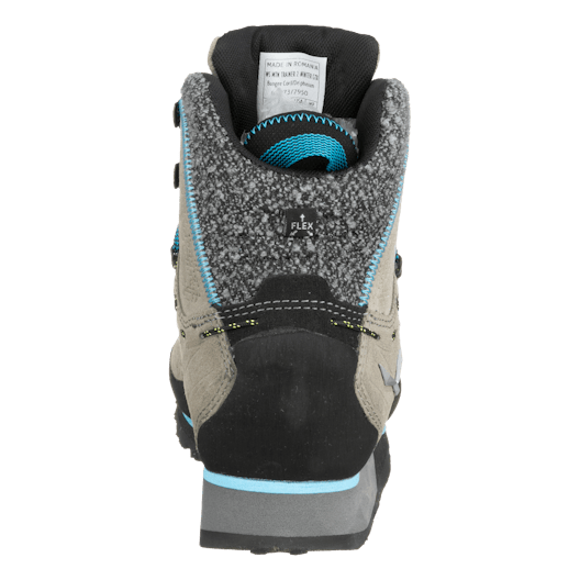 Mountain Trainer 2 Winter GORE-TEX® Chaussures Femme perspective_view image