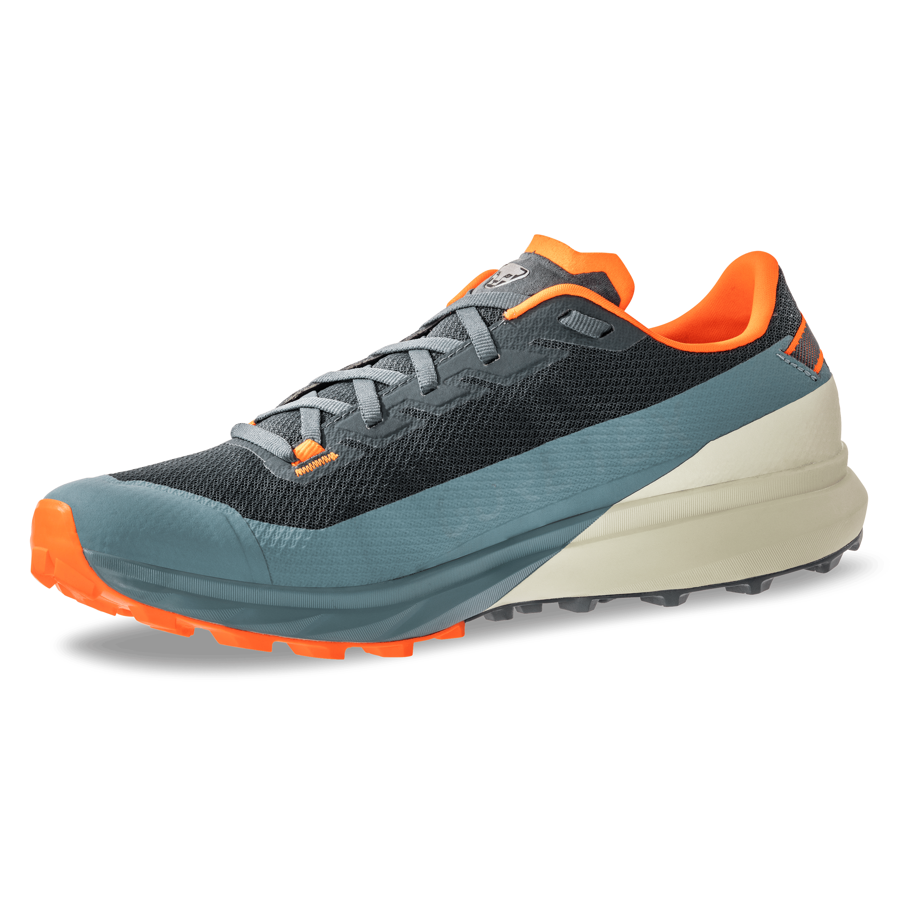 Chaussure running Ultra GTX hommes perspective_view image