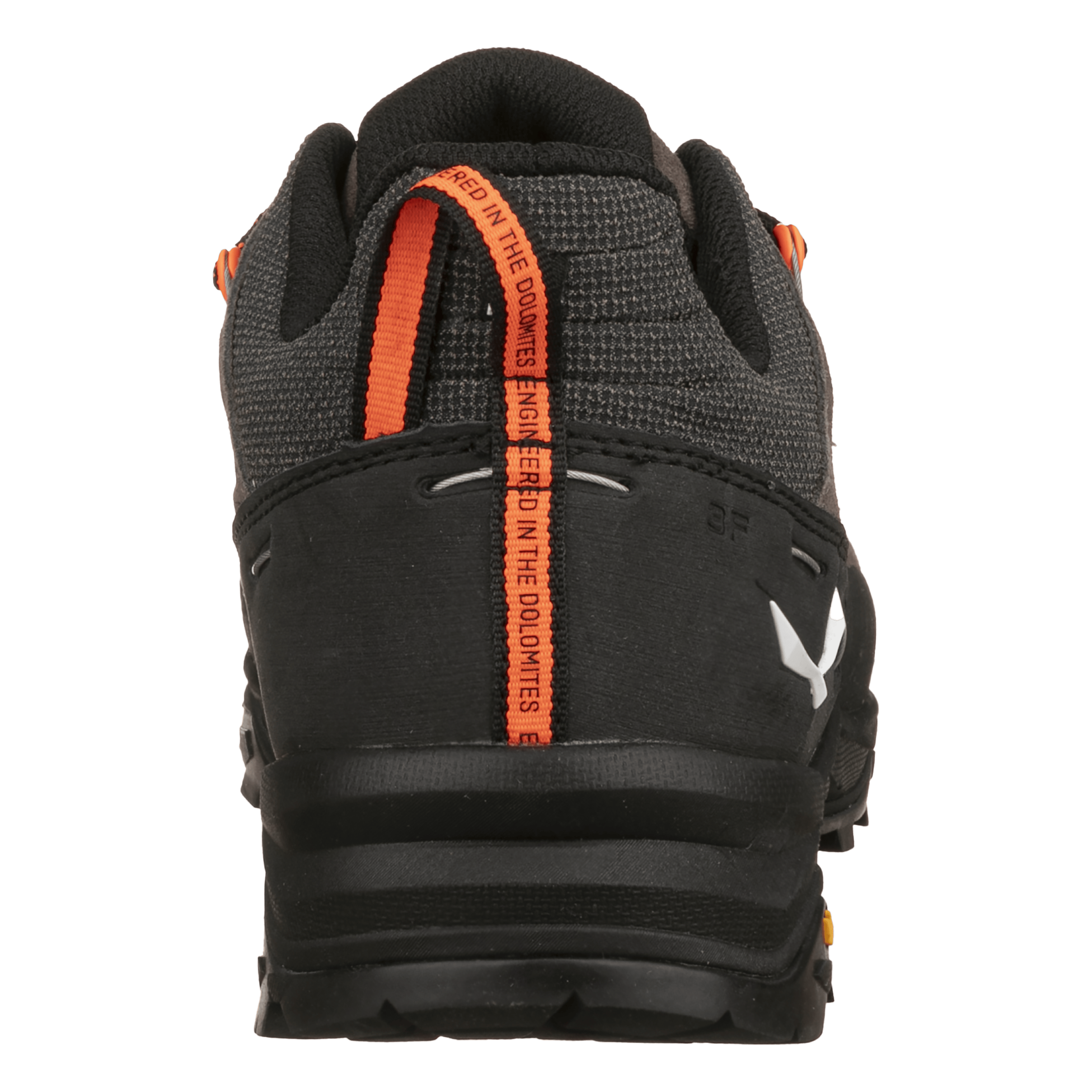 Alp Trainer 2 Shoe Men perspective_view image