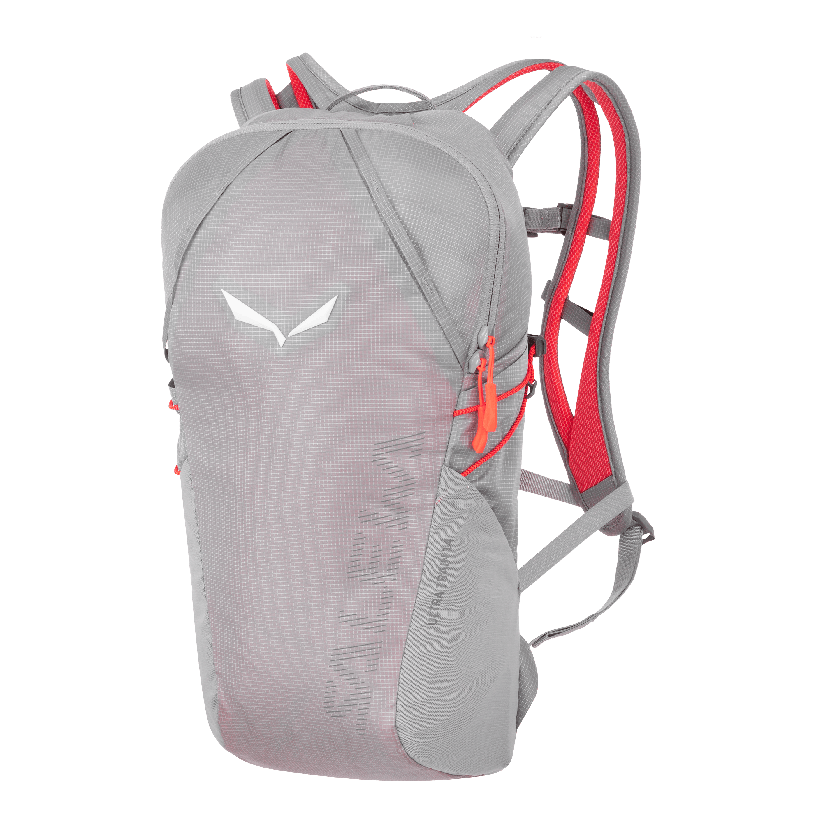Salewa PEDROC PRO 22L UNISEX - Sac de randonnée - onyx/gris foncé