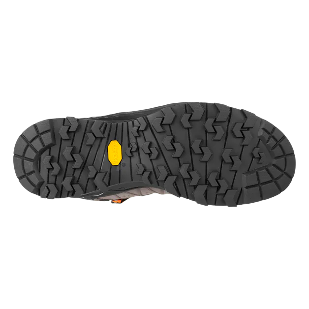 Alp Trainer 2 Mid GORE-TEX® Men's Shoe perspective_view image