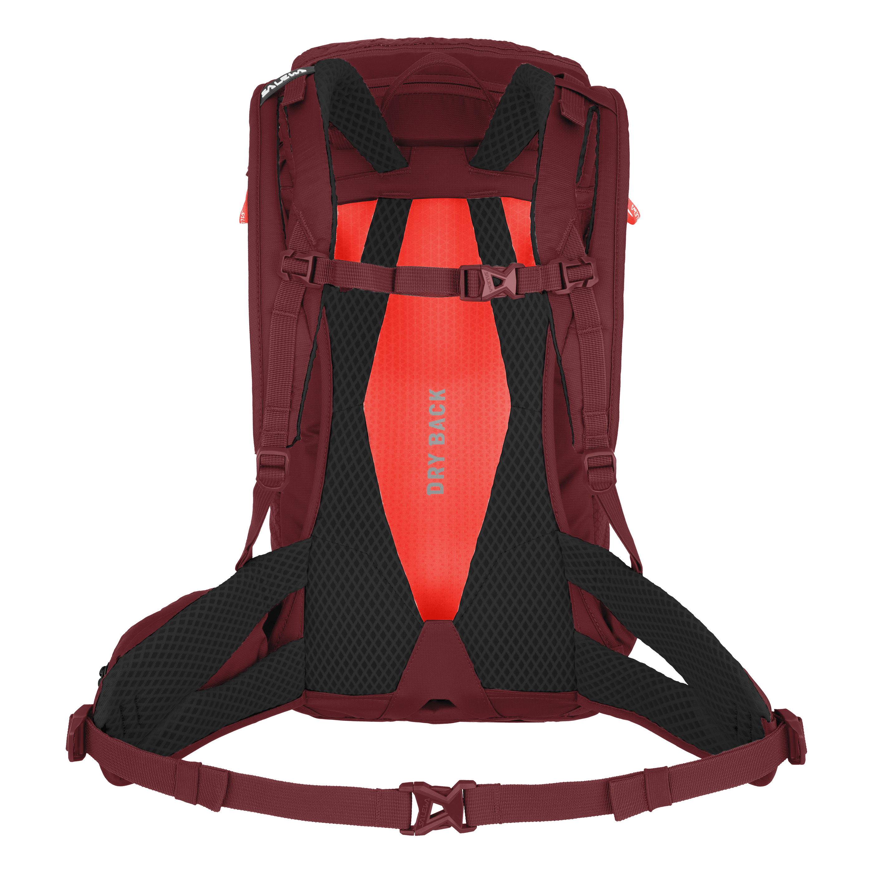 Alp Trainer 20L Rucksack Damen perspective_view image