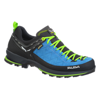 Mountain Trainer 2 GORE-TEX® Men's Shoes | Salewa® International