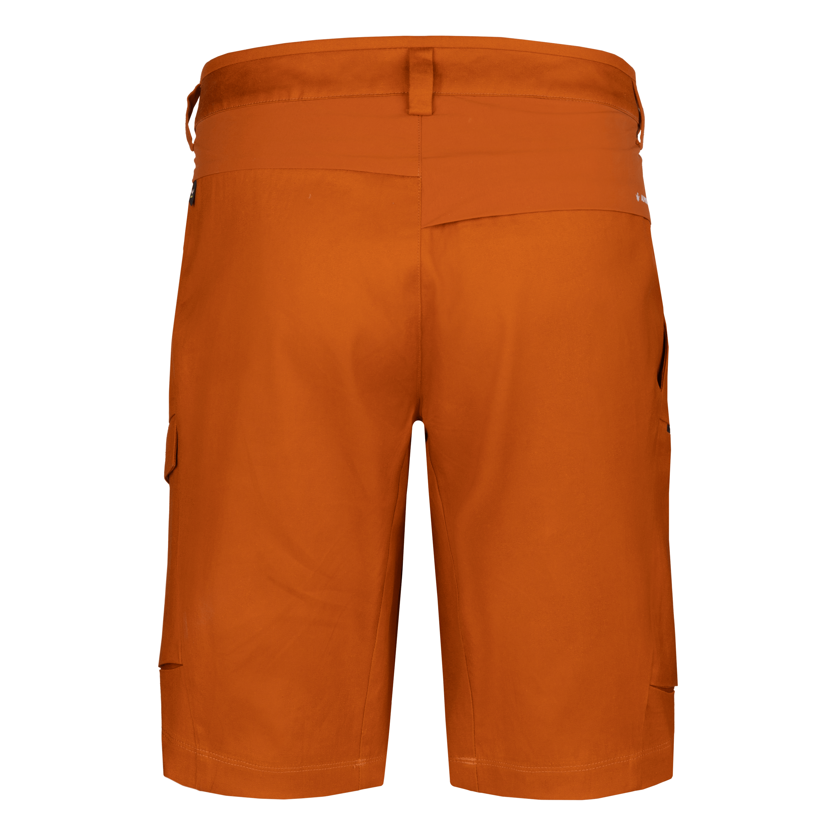 Puez Hemp Cargo Shorts Herren  perspective_view image