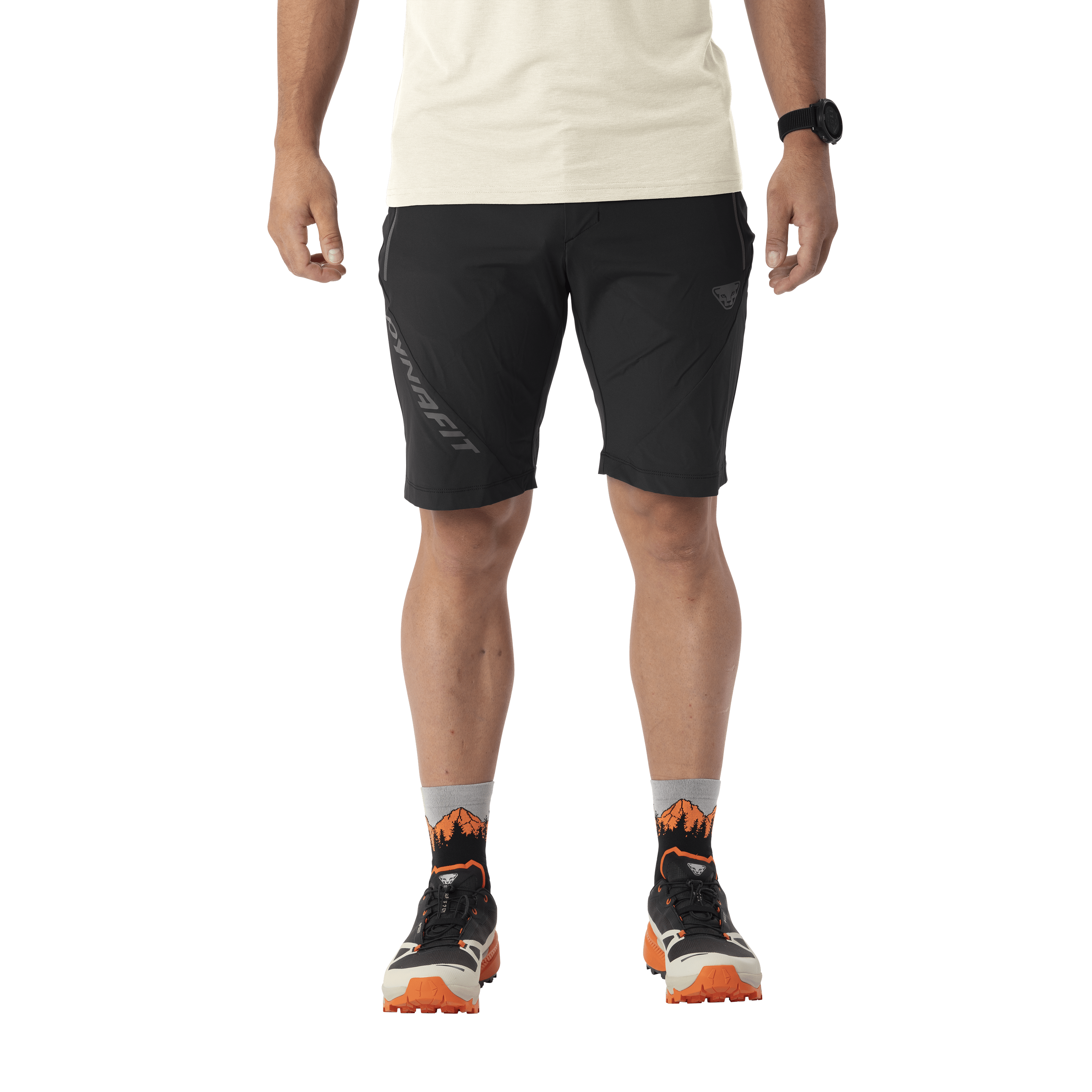 Transalper Light Dynastretch Shorts Men hover image