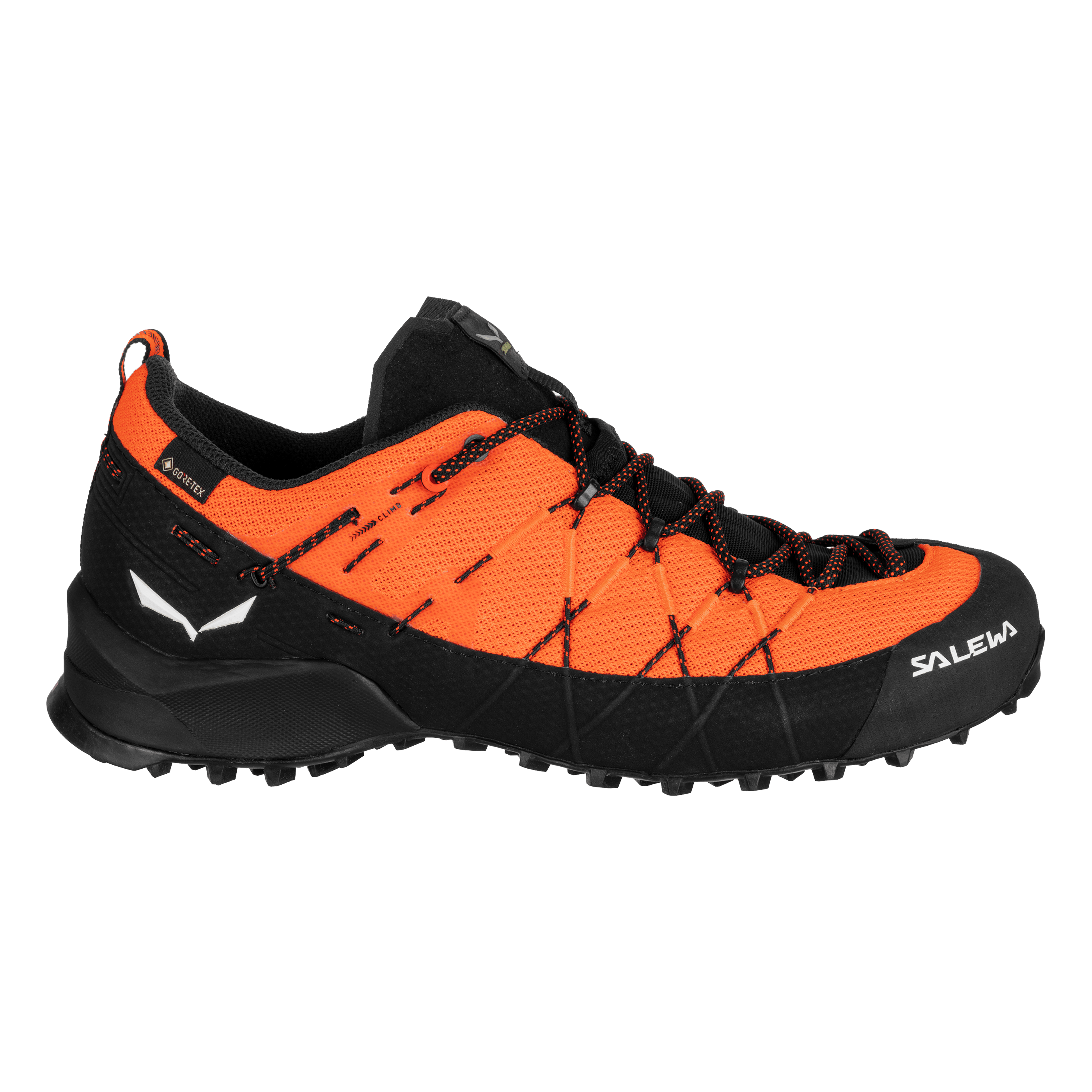 Wildfire 2 Gore-Tex® Schuh Herren perspective_view image