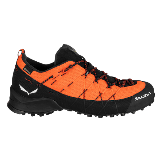 Wildfire 2 Gore-Tex® Schuh Herren perspective_view image