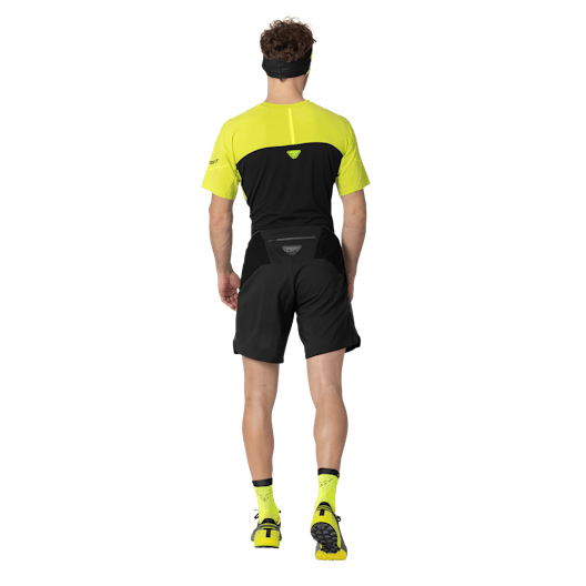 Alpine Pro 2in1 Shorts Herren on_body image