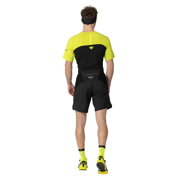Alpine Pro 2in1 Shorts Herren on_body image