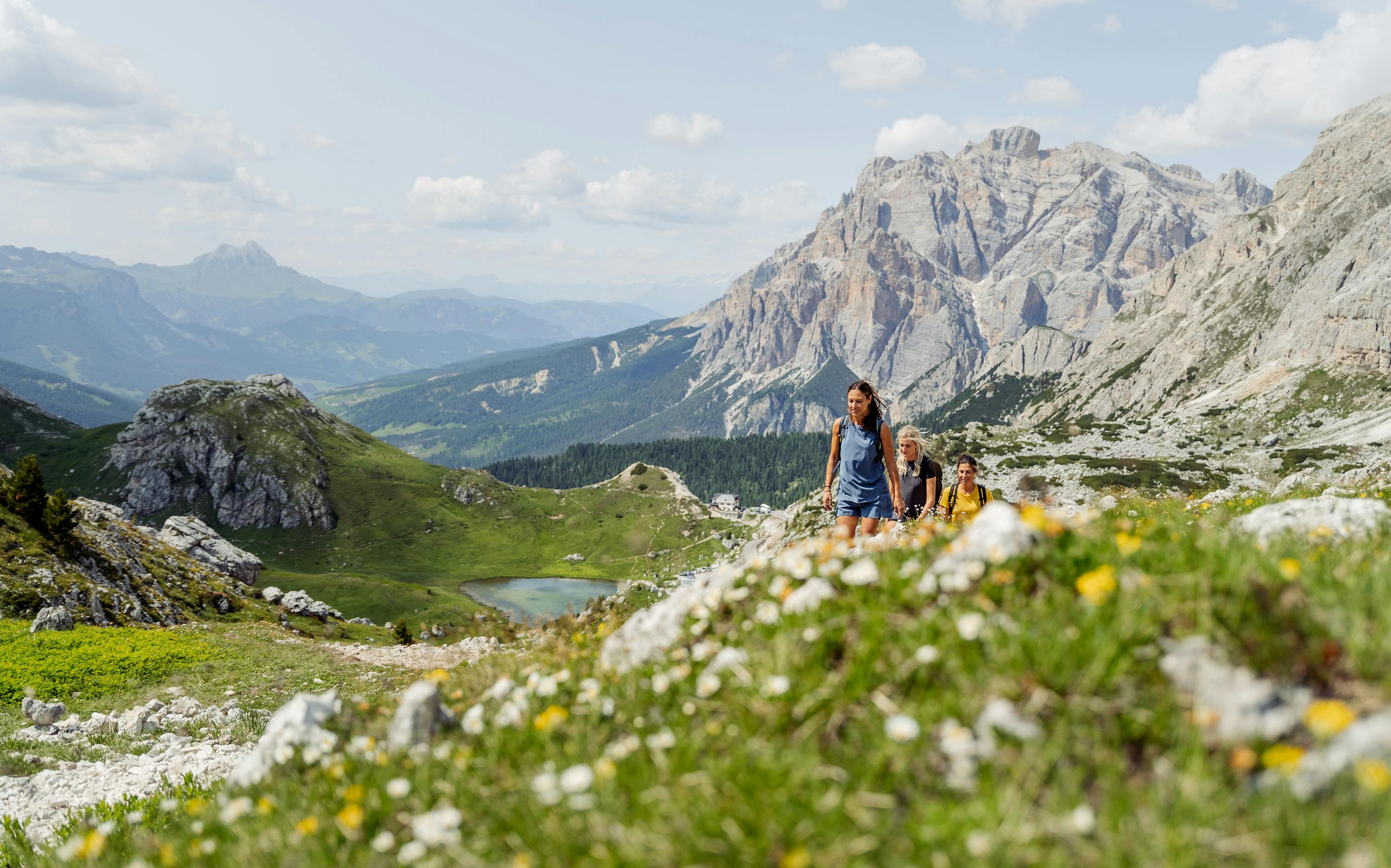 Teresa Shirt horizontal image
