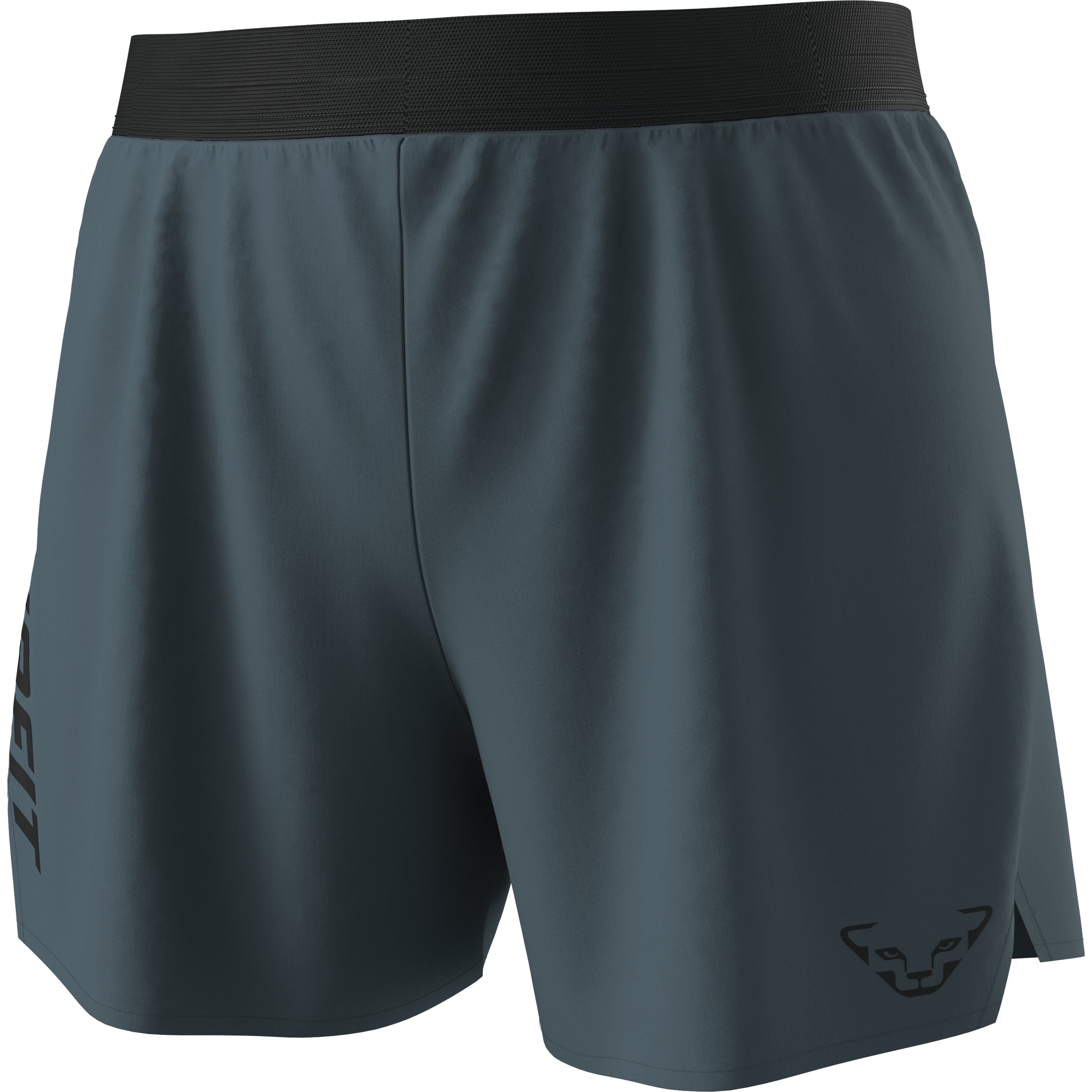 Alpine Shorts Damen still image