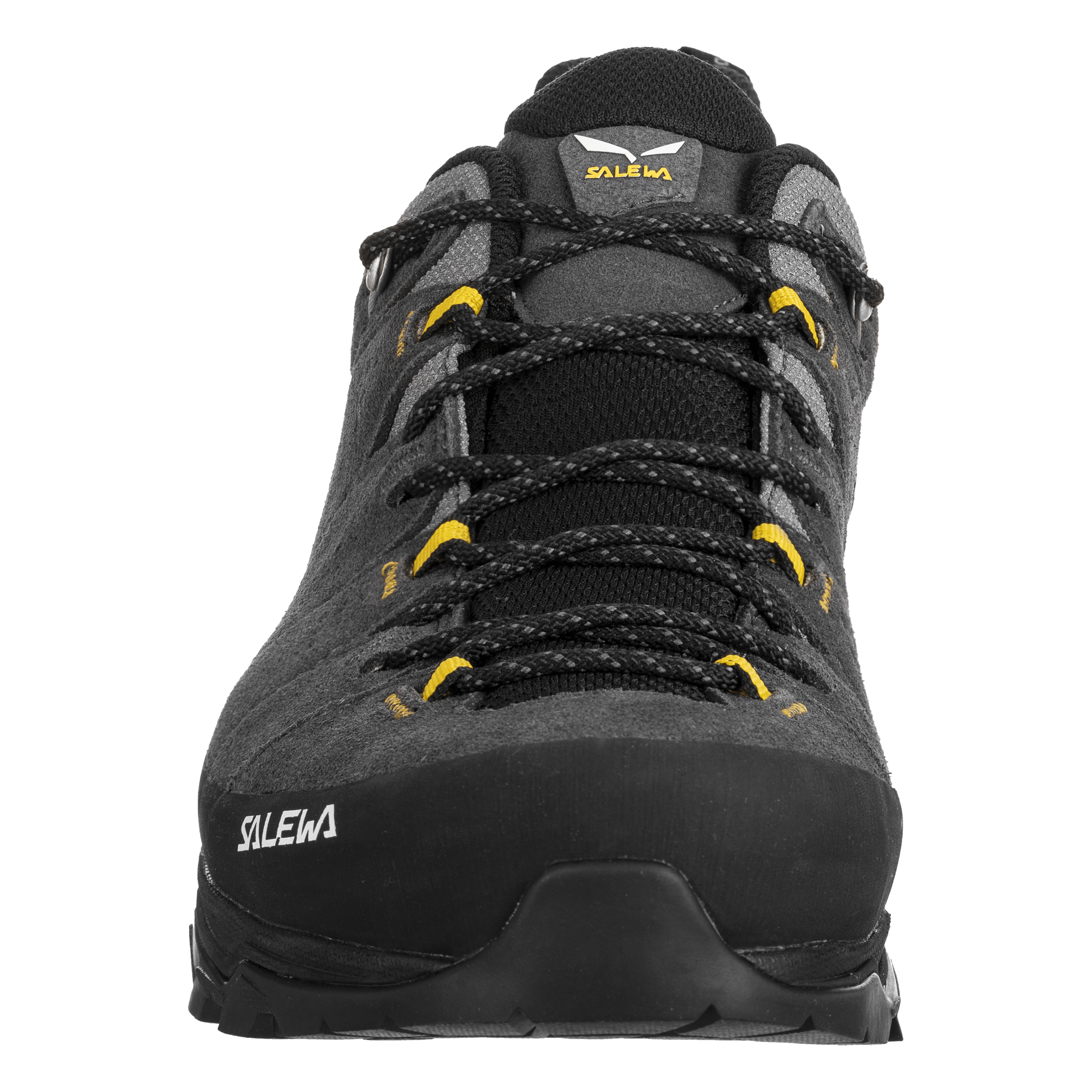 Alp Trainer 2 Gore-Tex® Shoe Men perspective_view image