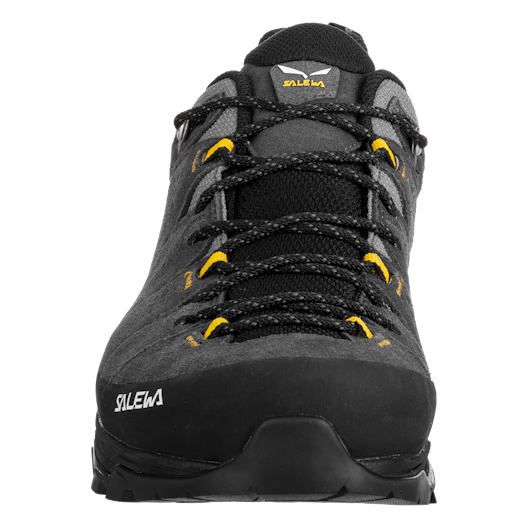 Alp Trainer 2 Gore-Tex® Shoe Men perspective_view image