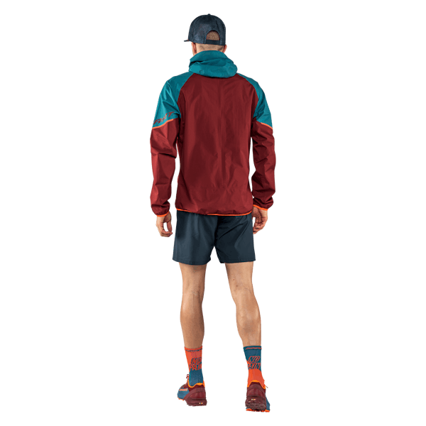 Alpine GORE-TEX Jacket Men