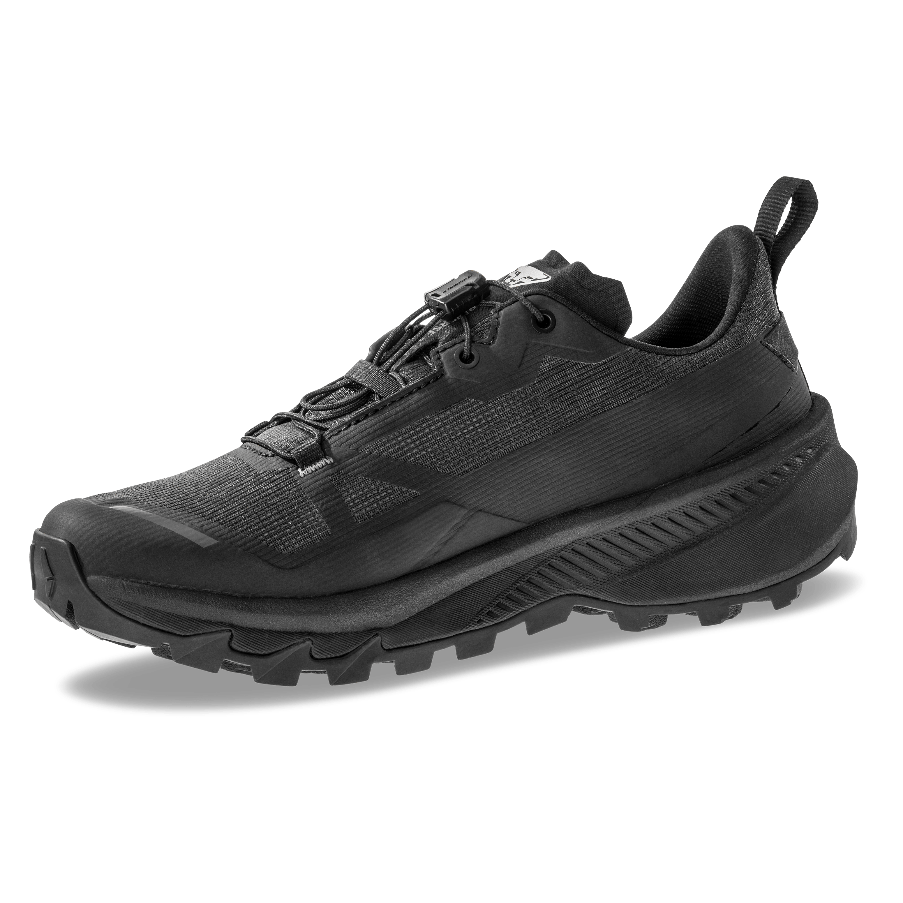 Traverse 2 GTX Mountaineering Schuh Herren perspective_view image