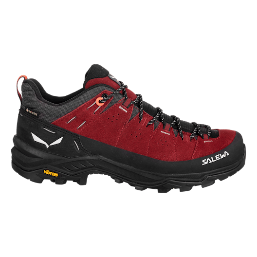 Alp Trainer 2 Gore-Tex® Scarpa Donna perspective_view image
