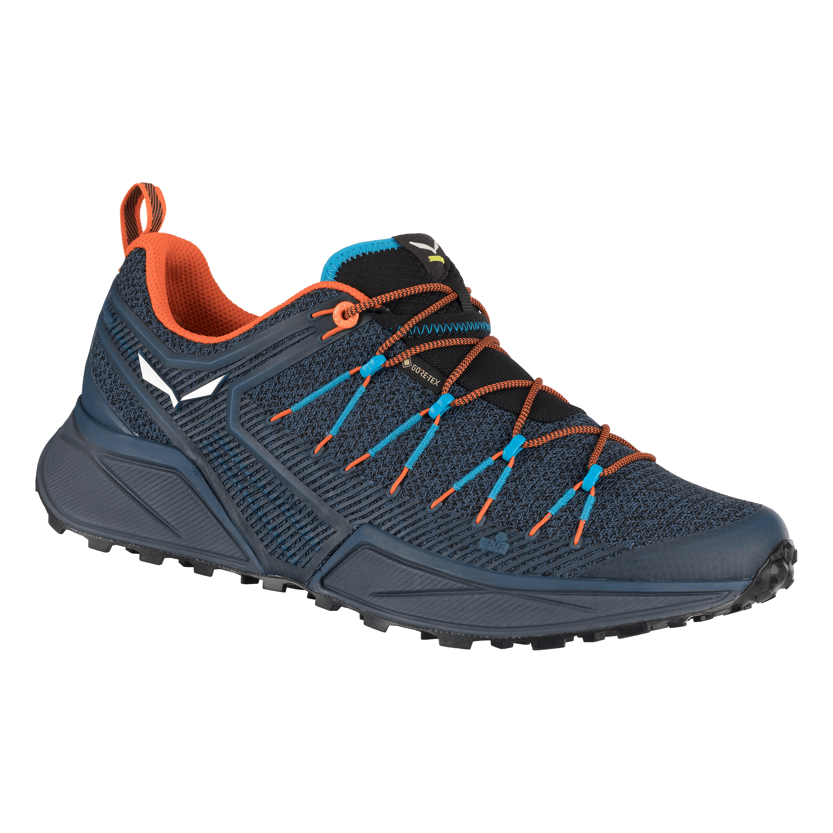 Dropline GORE-TEX® Chaussures Homme still image