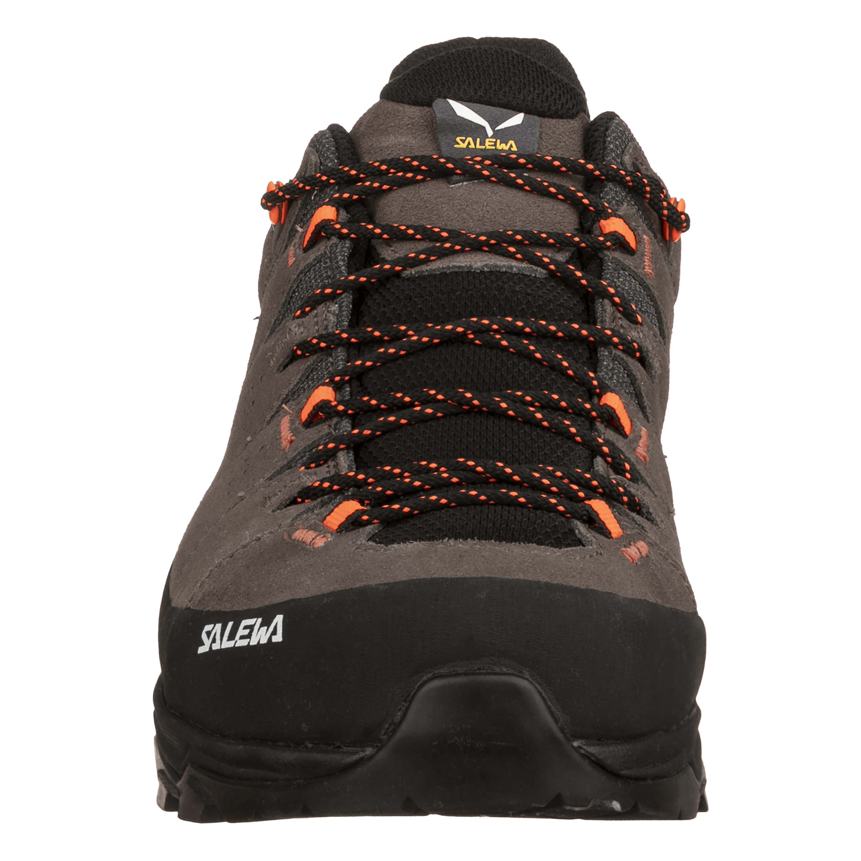 Alp Trainer 2 Shoe Men perspective_view image