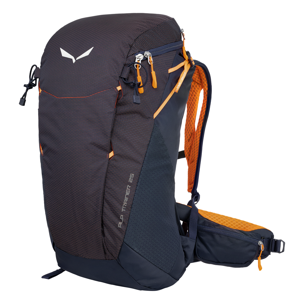 Alp Trainer 25L Backpack