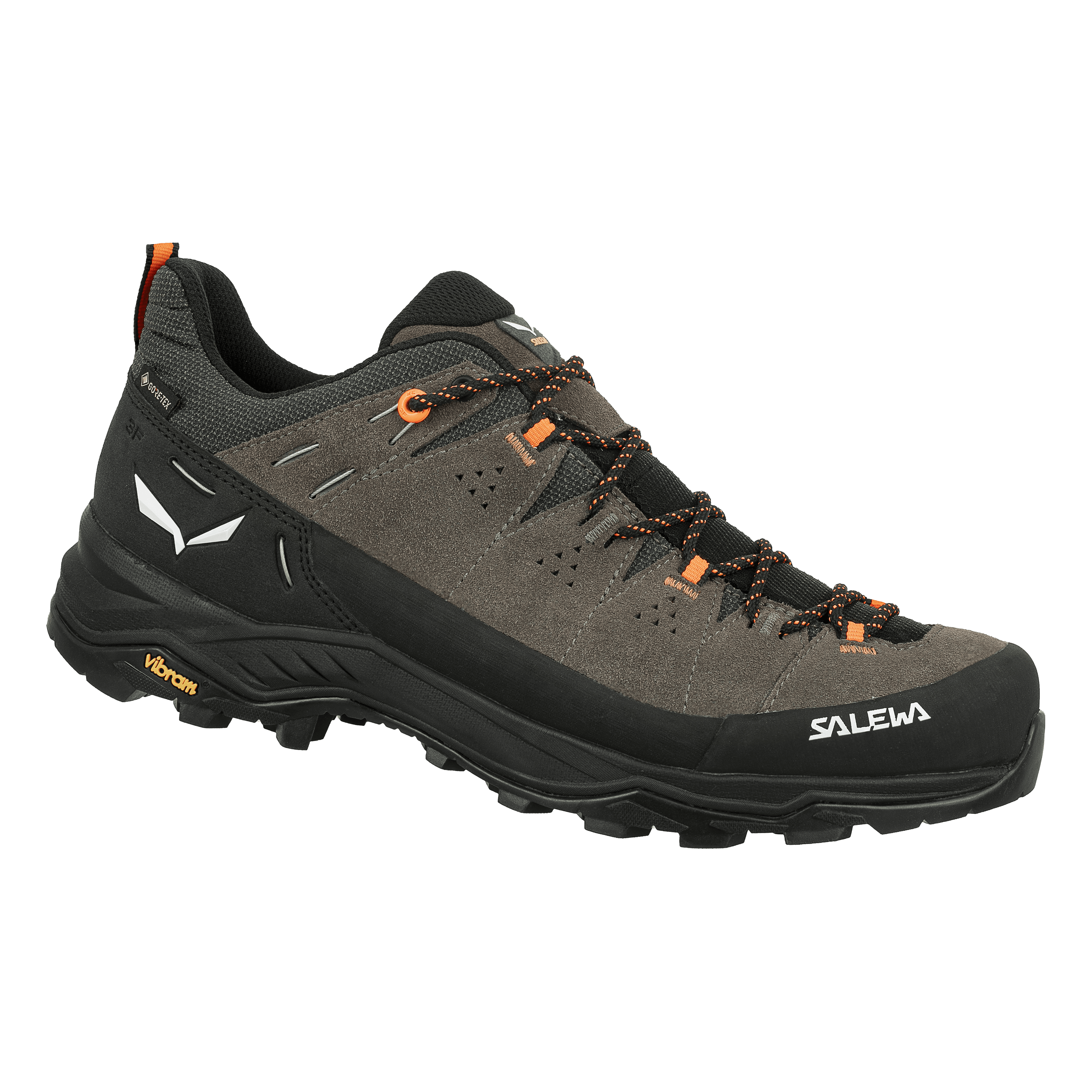 Alp Trainer 2 Gore-Tex® Shoe Men | Salewa® USA