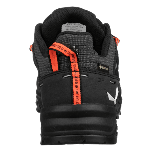 Alp Trainer 2 Gore-Tex® Zapatilla Mujer perspective_view image