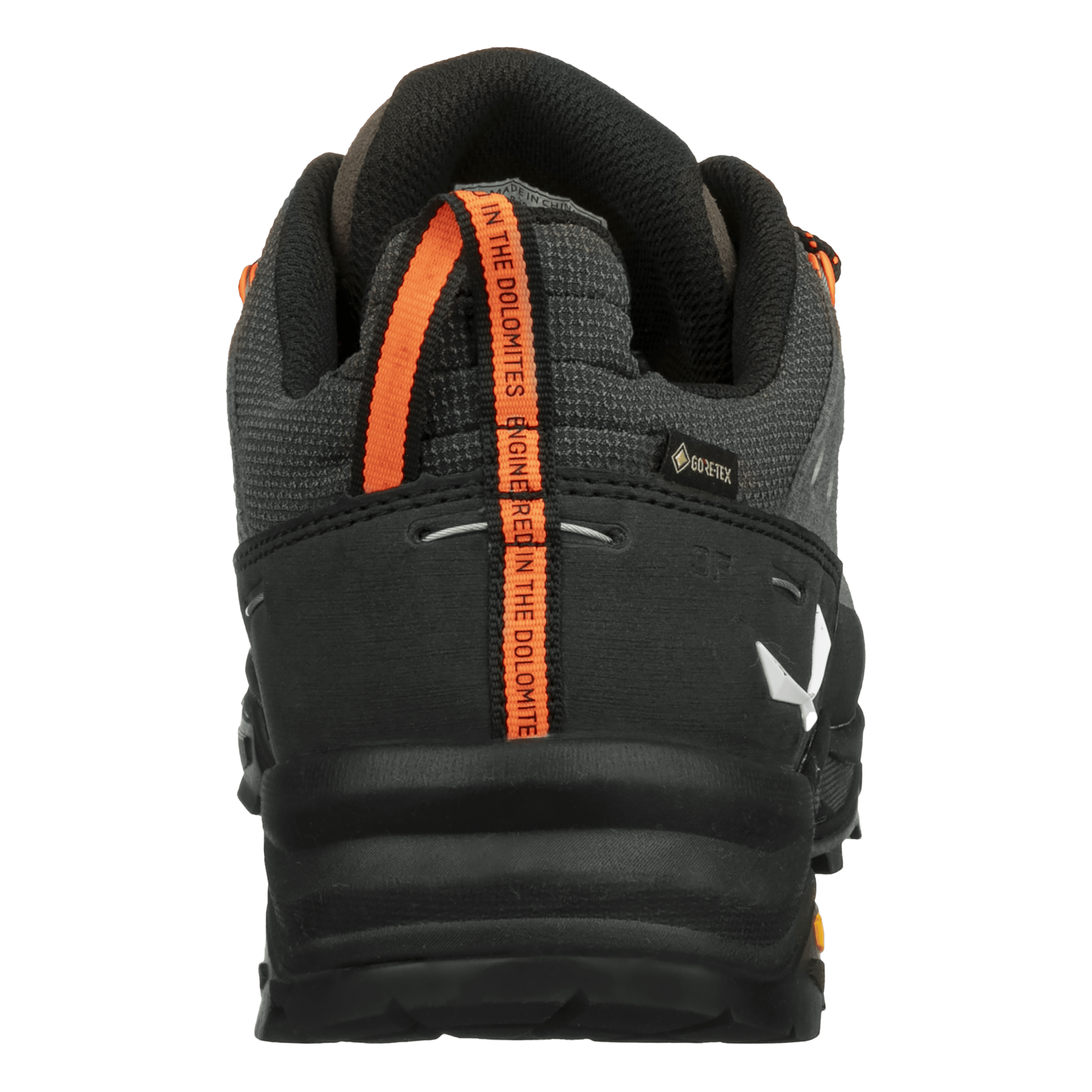 Alp Trainer 2 Gore-Tex® Shoe Men perspective_view image