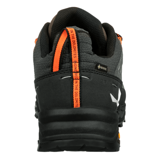 Alp Trainer 2 Gore-Tex® Shoe Men perspective_view image