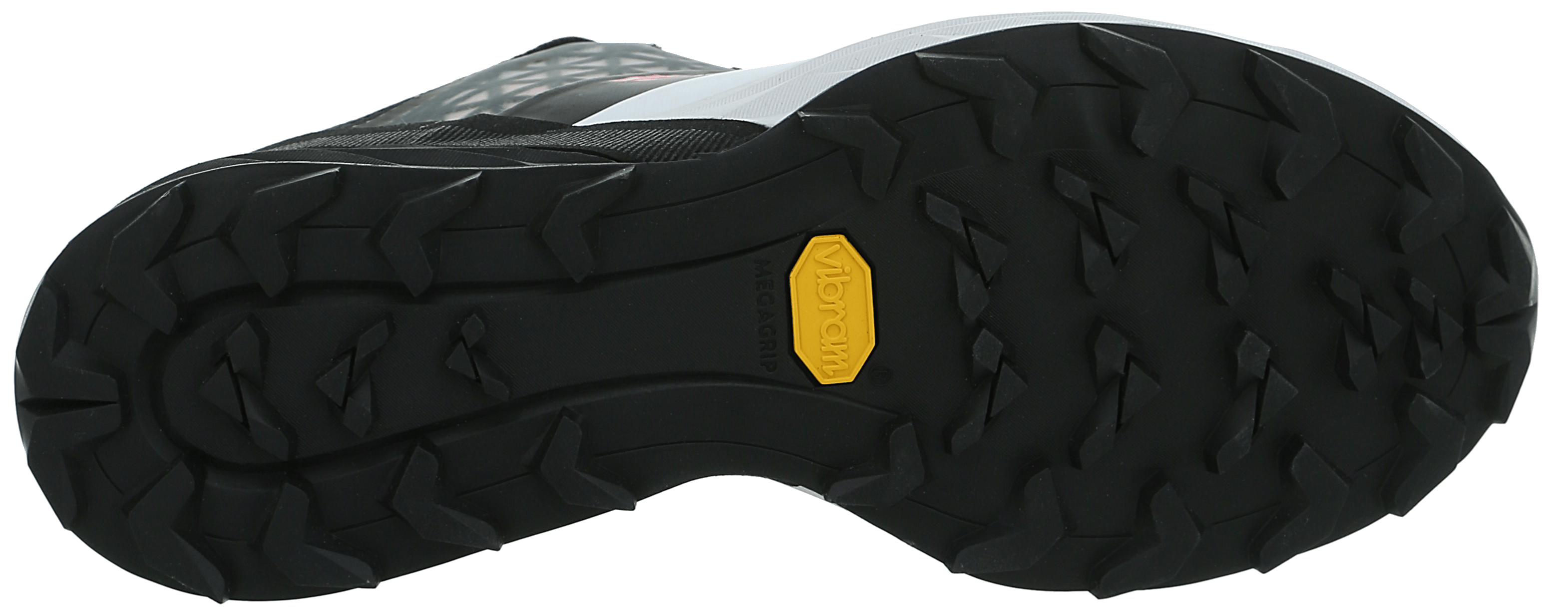 Alpine DNA Laufschuh Damen tech_detail image