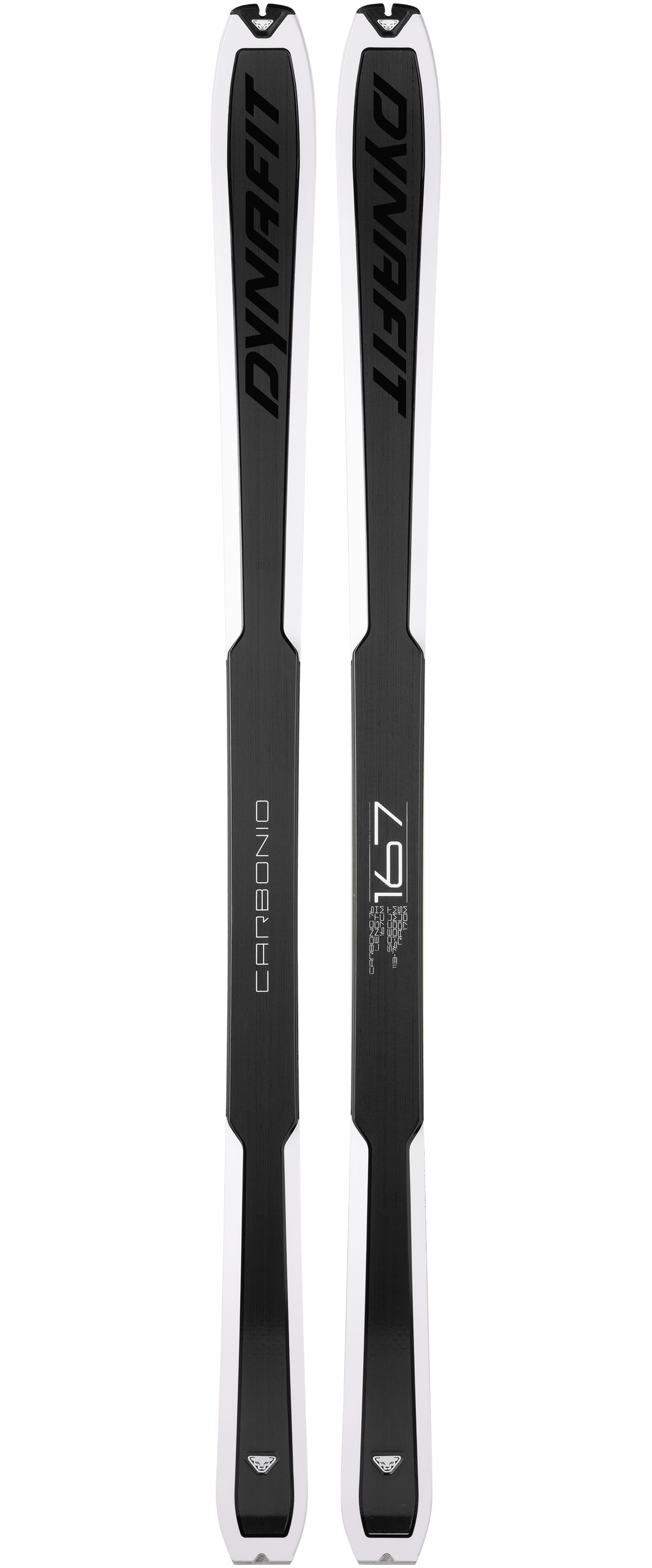Carbonio 76 Ski still image