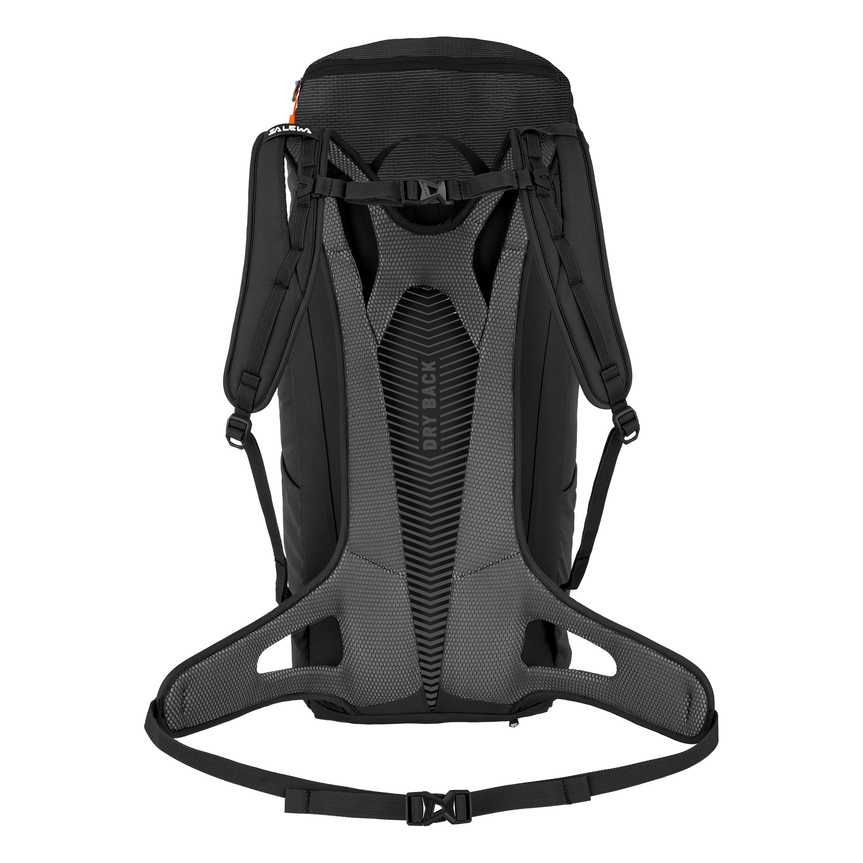 Alp Mate 36L Backpack perspective_view image