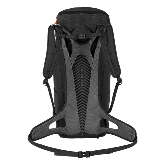 Alp Mate 36L Backpack perspective_view image