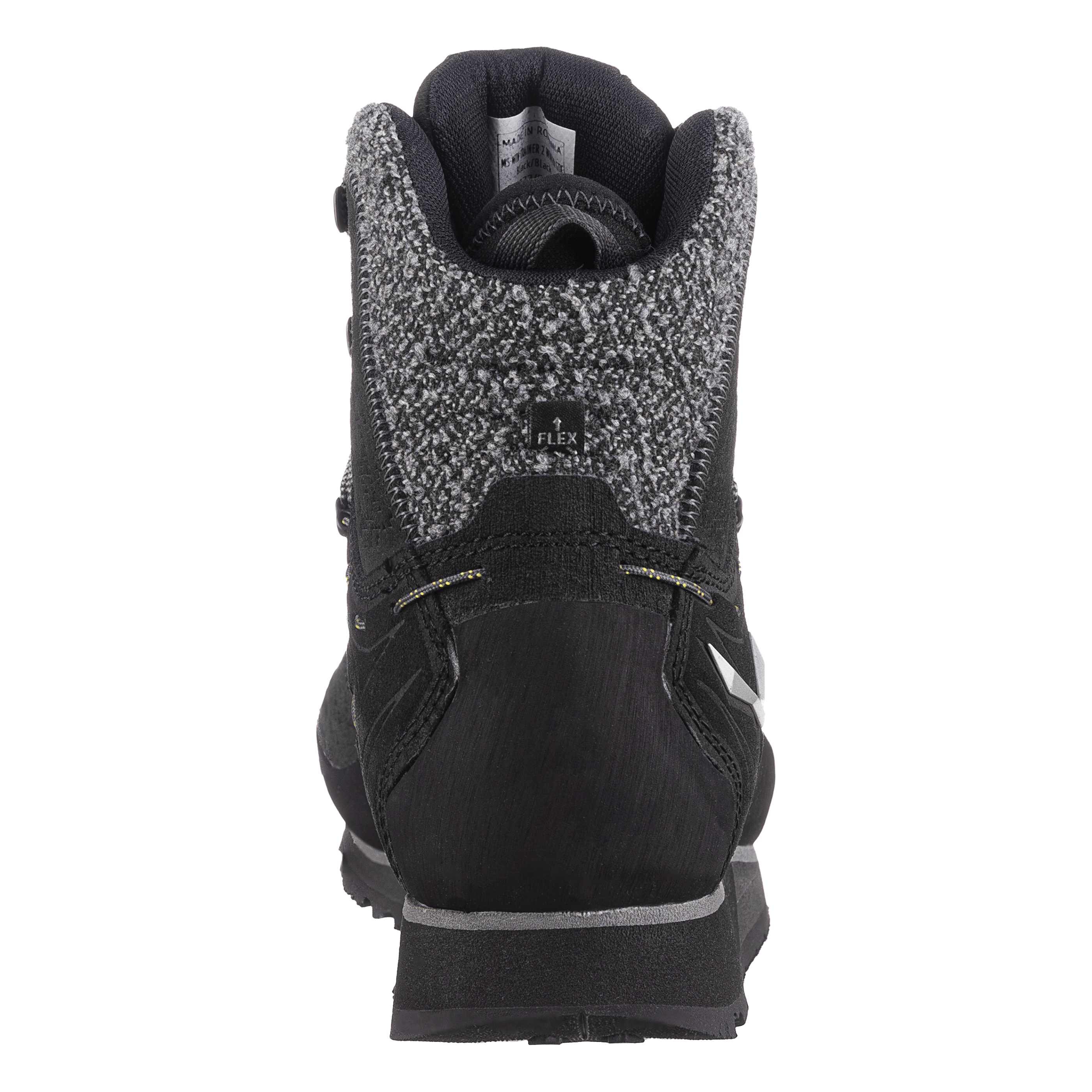 Mountain Trainer 2 Winter GORE-TEX® Herren Schuhe perspective_view image