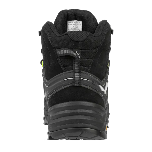 Alp Trainer 2 Mid GORE-TEX® Men's Shoe perspective_view image