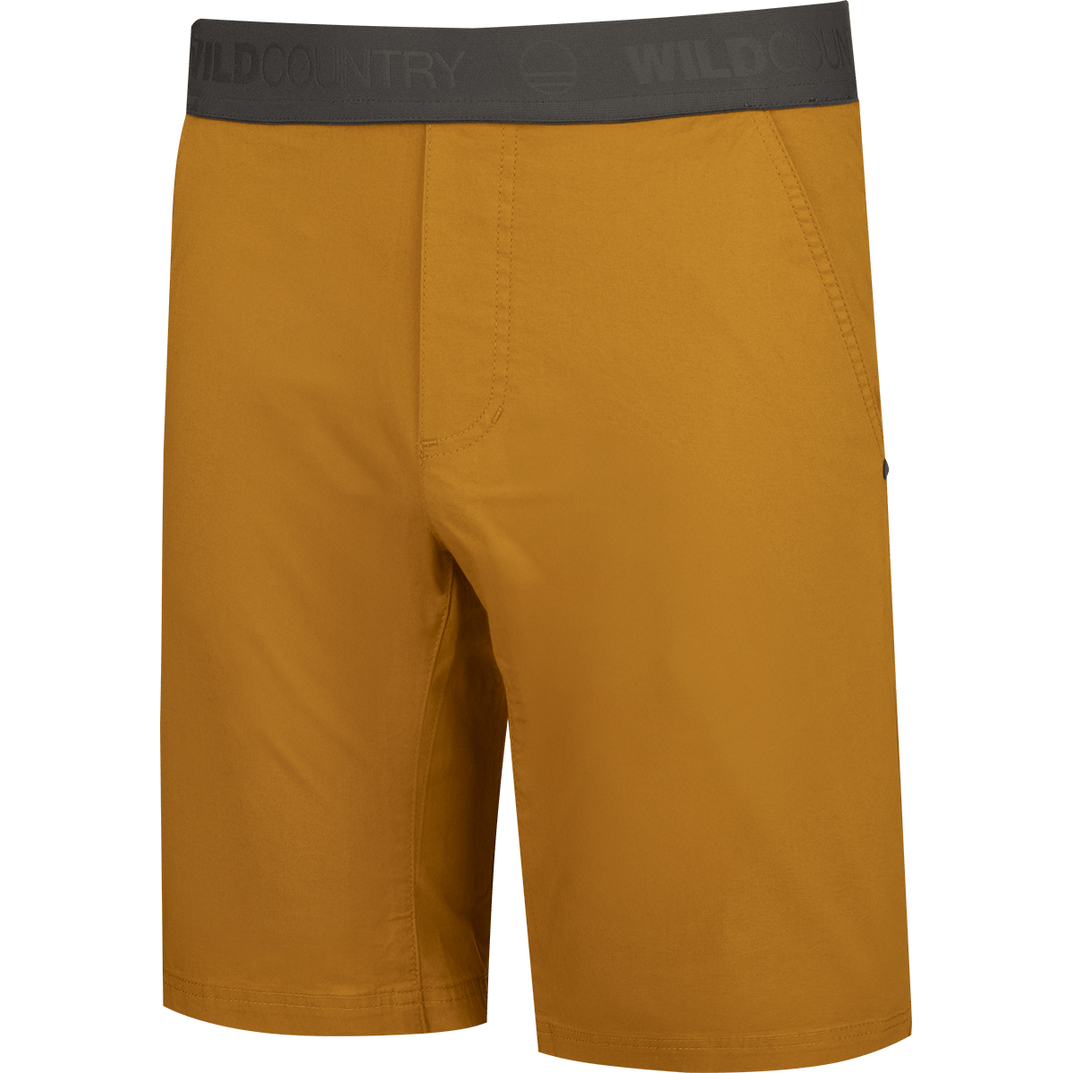 Session 2 Man Shorts still image