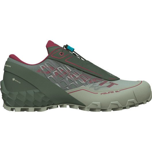 Feline SL GORE-TEX® Mountaineering Shoe Women still image