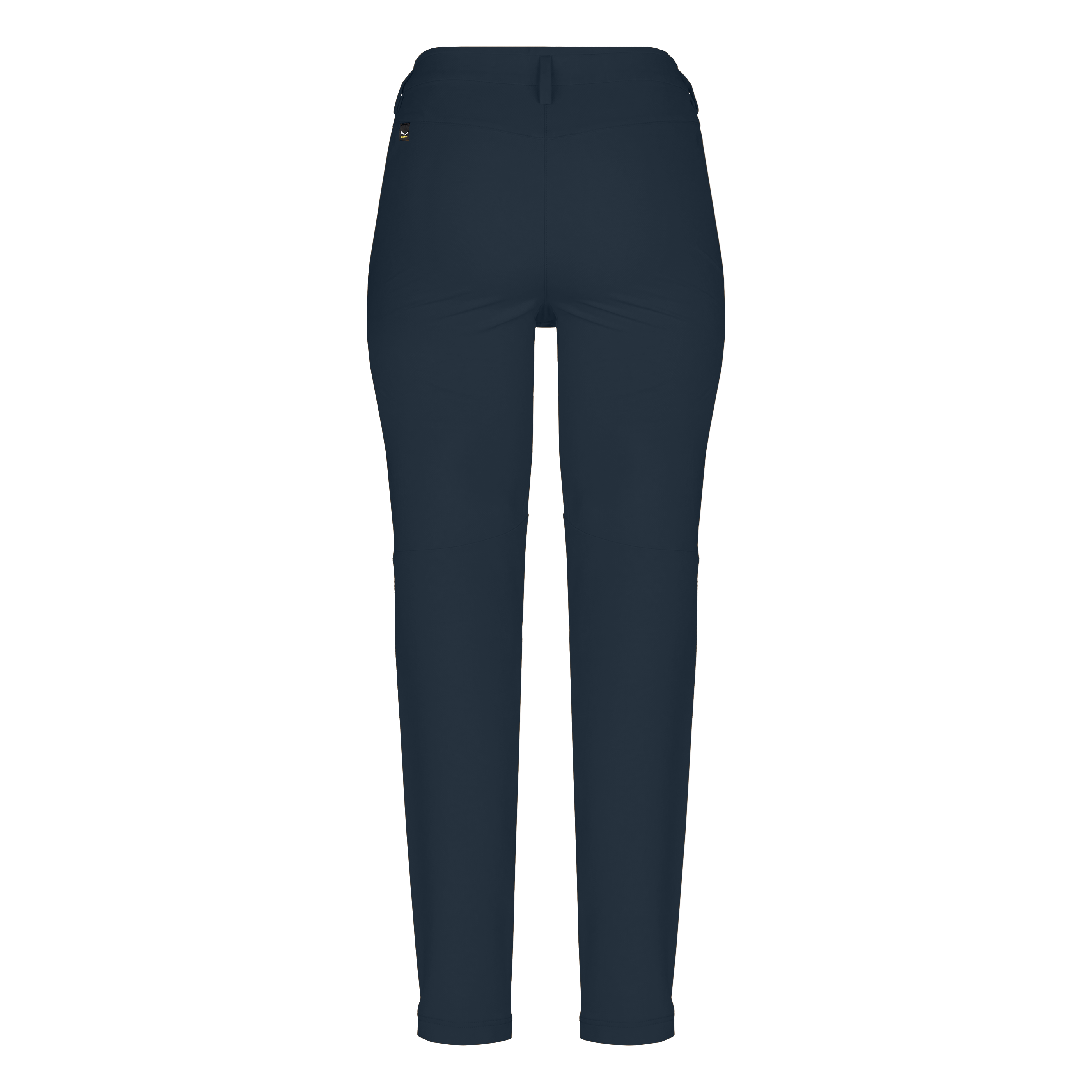 Puez Dolomitic 2 Durastretch Regular Pant Women  perspective_view image