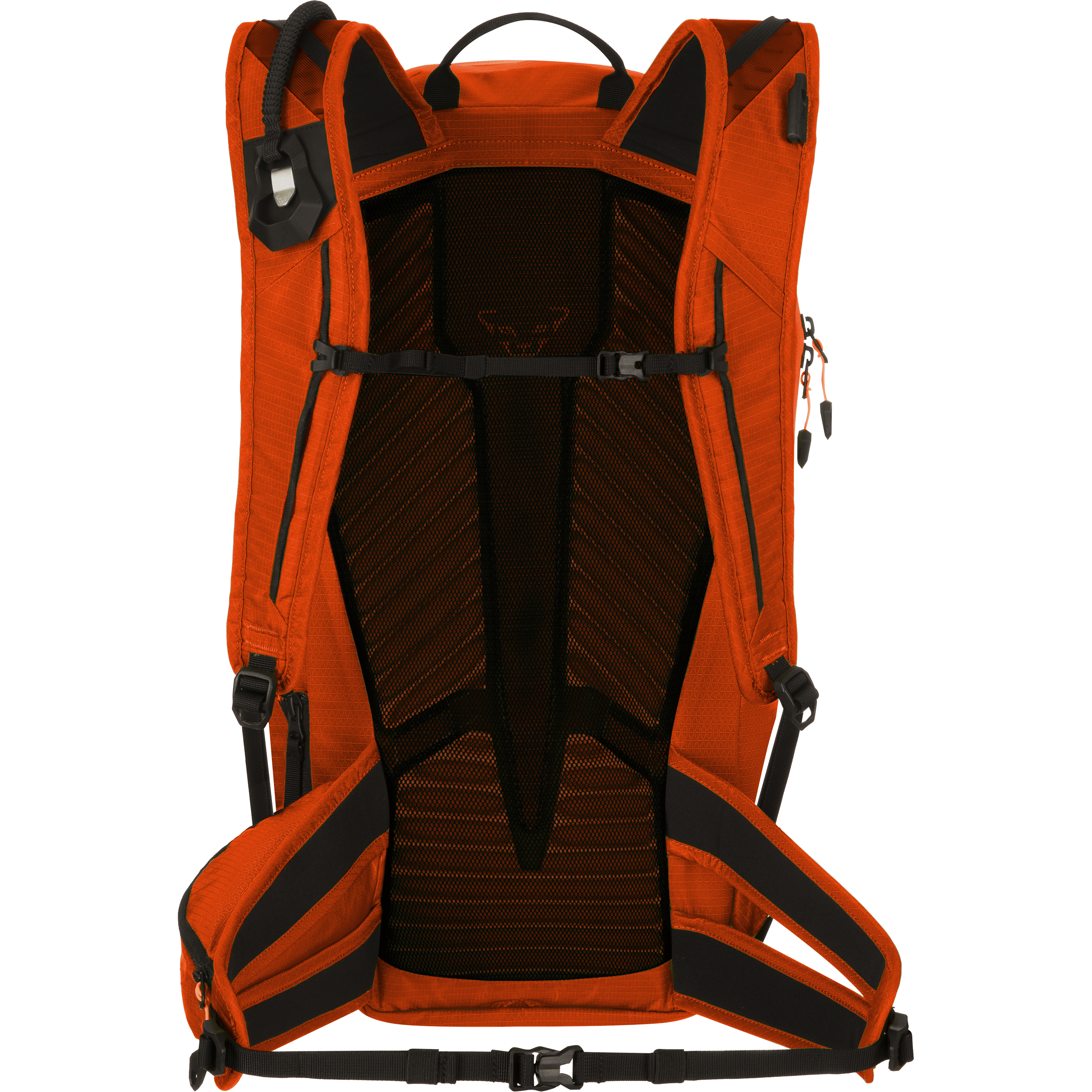 Zaino Speed 24 Uomo perspective_view image